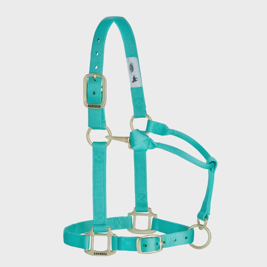Weaver Equine Original Adjustable Halter, 1" - Average
