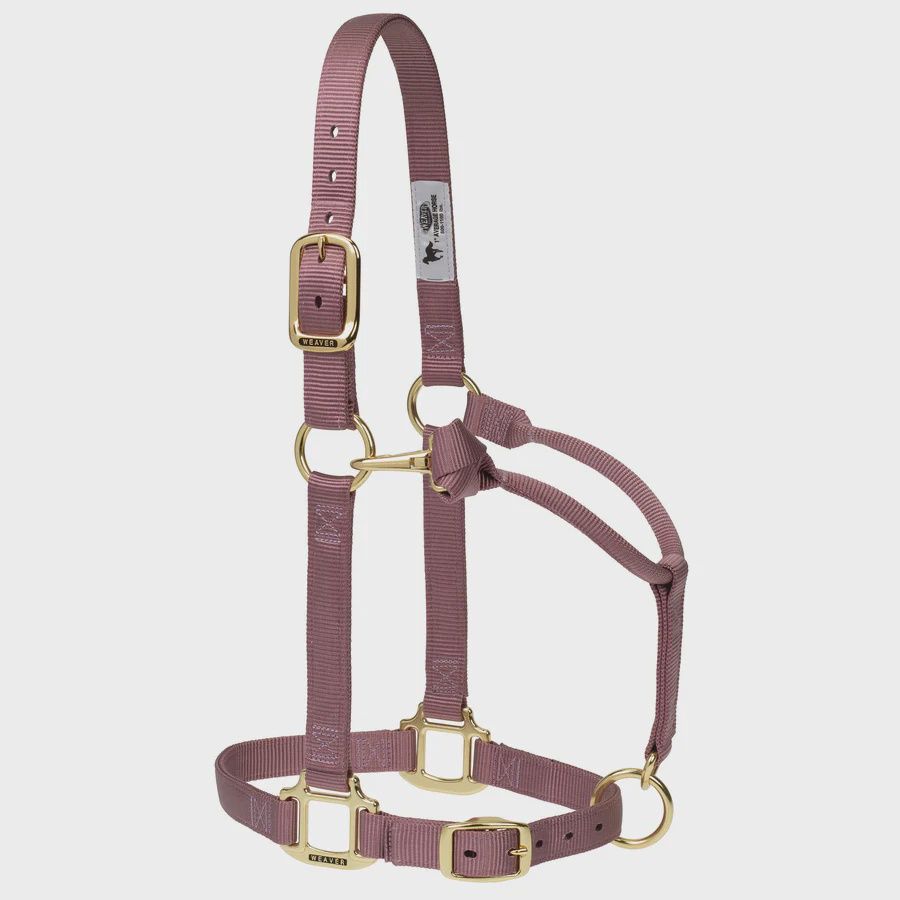 Weaver Equine Original Adjustable Halter, 1" - Average