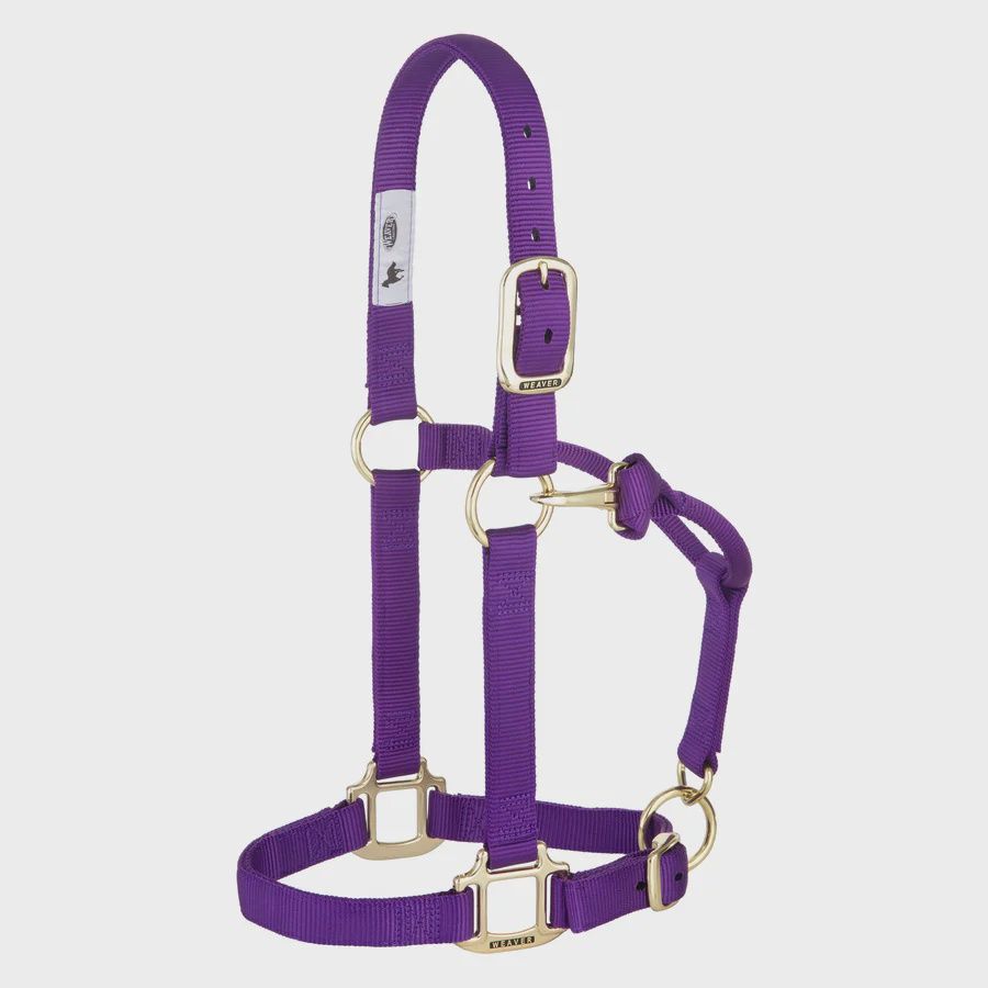 Weaver Equine Original Adjustable Halter, 1" - Large