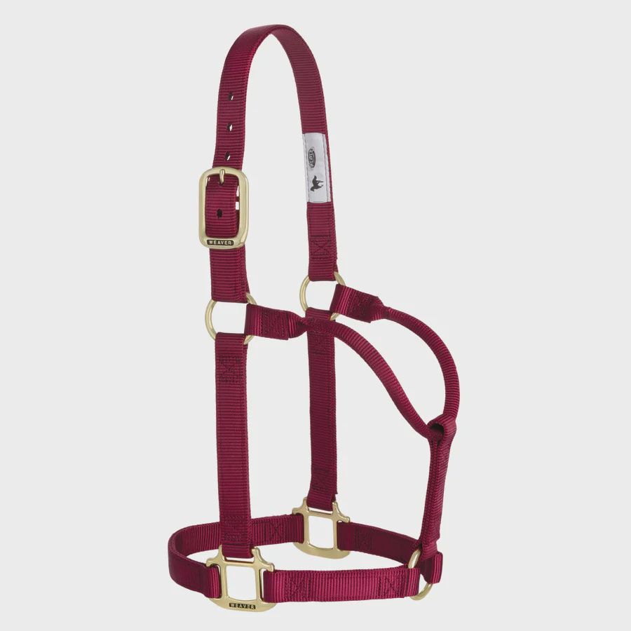 Weaver Equine Original Non-Adjustable Halter, 1" - Large