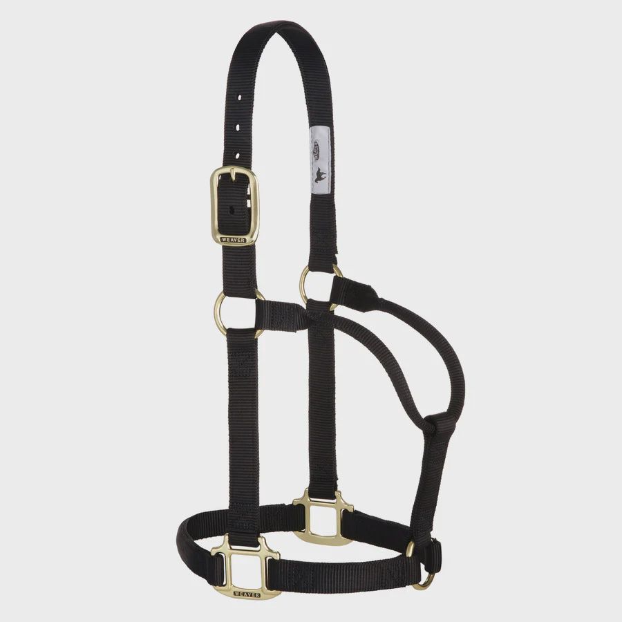 Weaver Equine Original Non-Adjustable Halter, 1" - Large, Color: Black