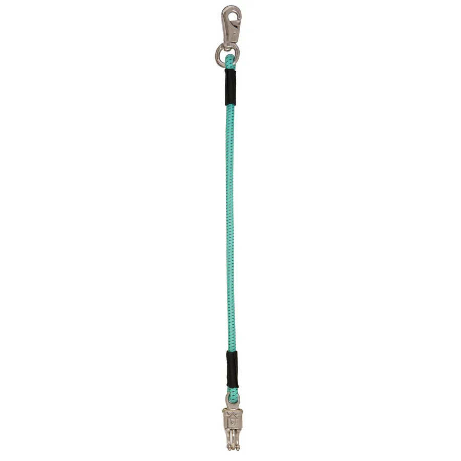 Weaver Bungee Trailer Tie, 1/2" X 23", Color: Aqua