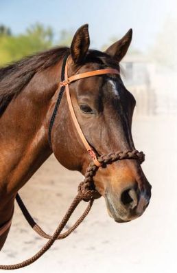 Professional’s Choice Loping Hackamore
