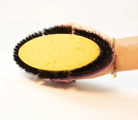 Professional’s Choice Softtouch Flex Sponge