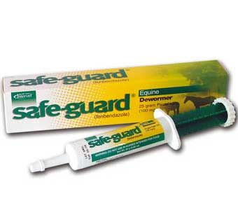 Safe-Guard Paste 10% 25Gm