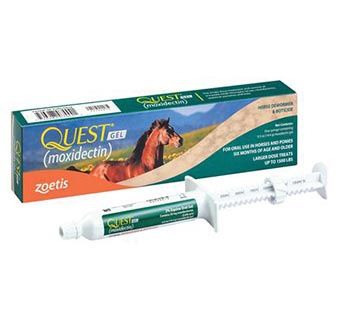 Quest Gel Horse 14.4Gm Tube
