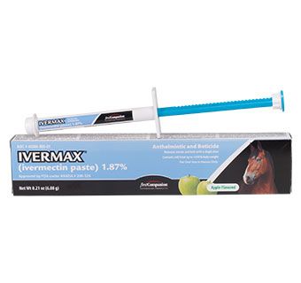 First Companion® Ivermax® (Ivermectin) Equine Paste 6.08 G 1/Pkg