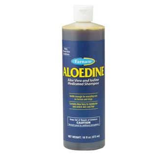 Aloedine Aloe Vera Iodine Shampoo 16OZ