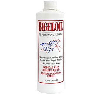 W.F. Young Bigeloil Liniment - 16 oz