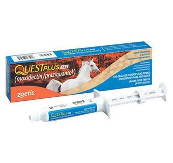 Quest Plus Gel Horse 14Gm Tube