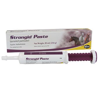 Strongid Paste (Bulk) 20ML Tube