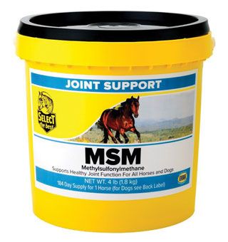MSM 2lb
