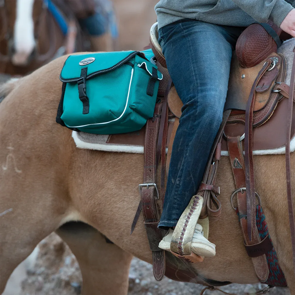 Weaver Equine Trail Gear Saddle Bags