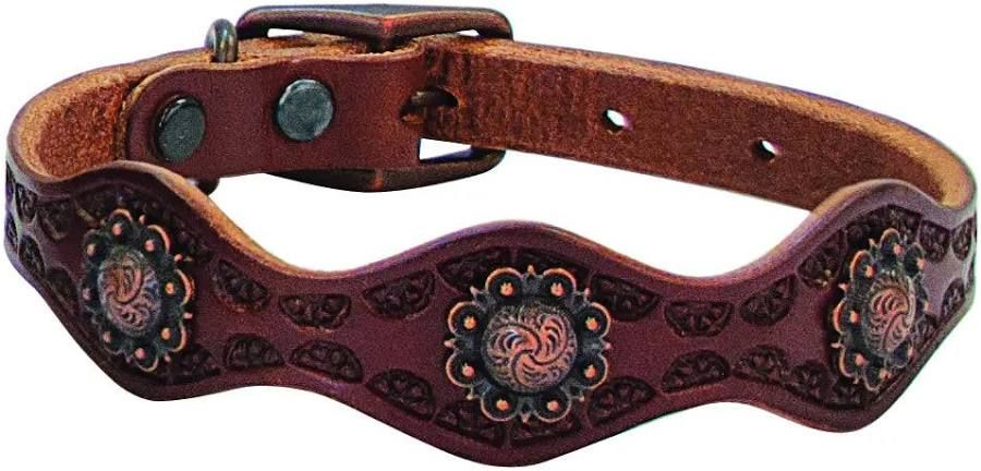 Weaver Pet Sundance Collar