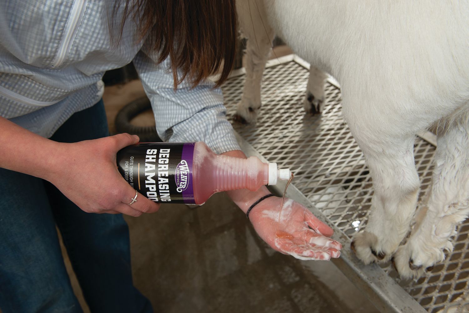 Weaver Livestock Degreasing Shampoo