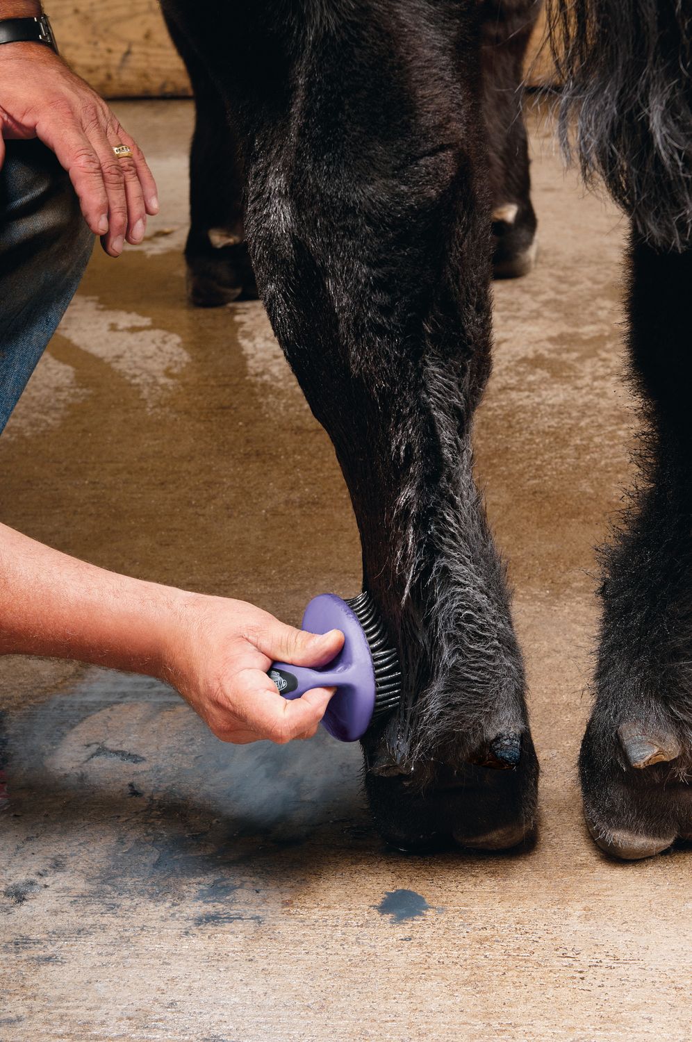 Weaver Livestock Breakdown Brush, Purple