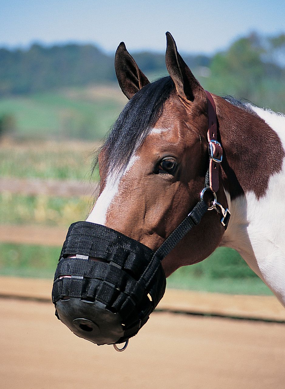 Weaver Equine Grazing Muzzle