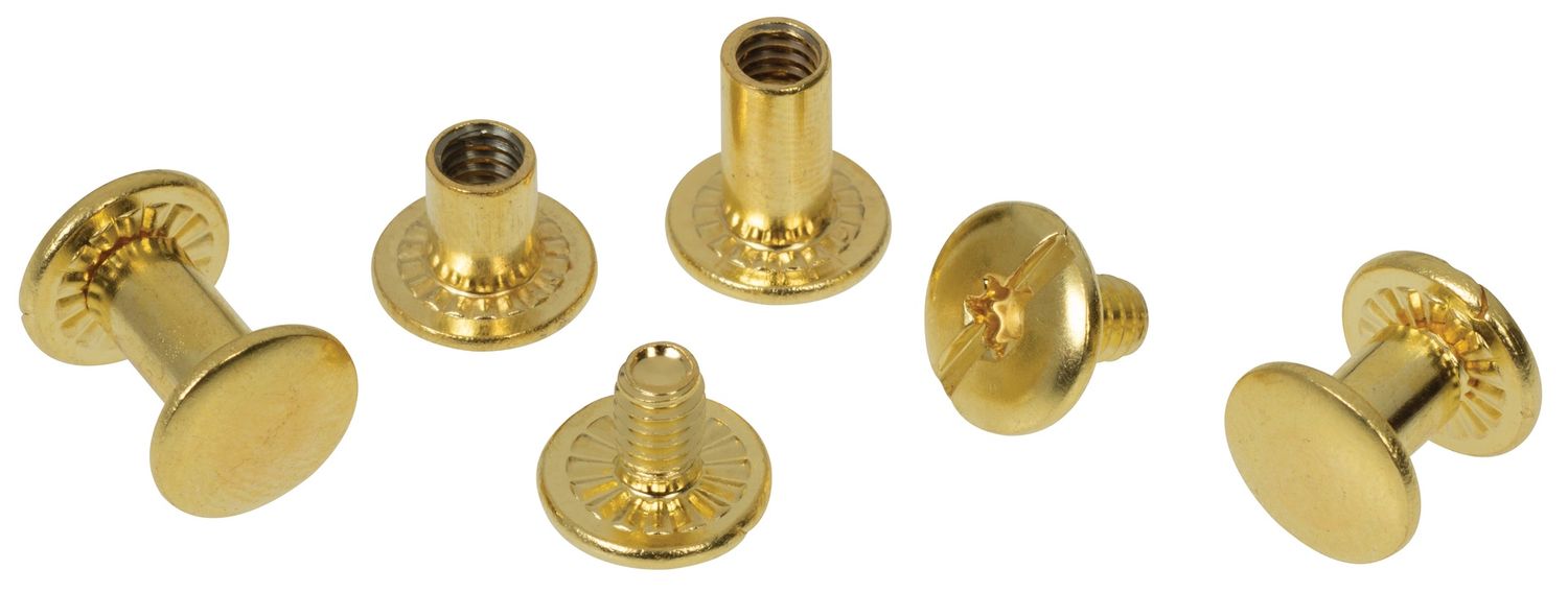 Weaver Equine Chicago Screw Handy Pack, Plain Solid Brass