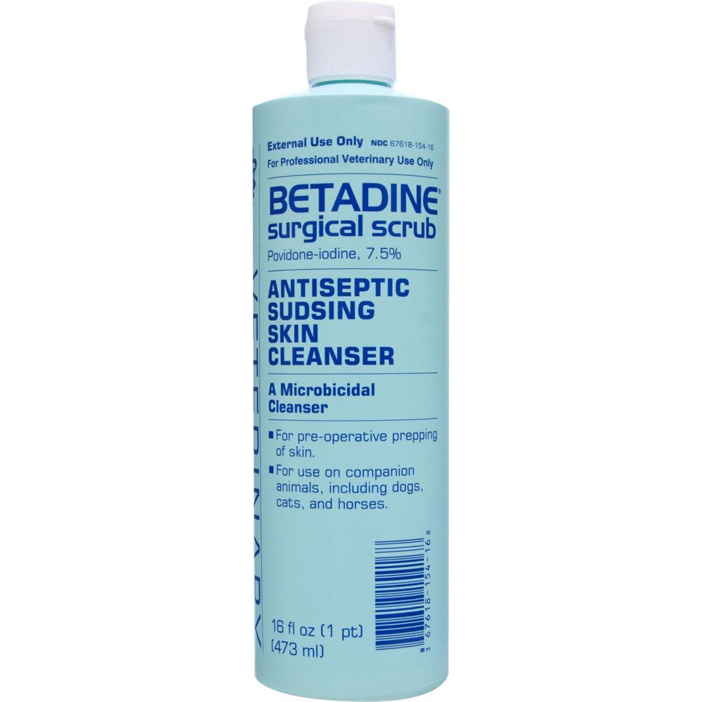 Betadine Scrub Pint Bvet16