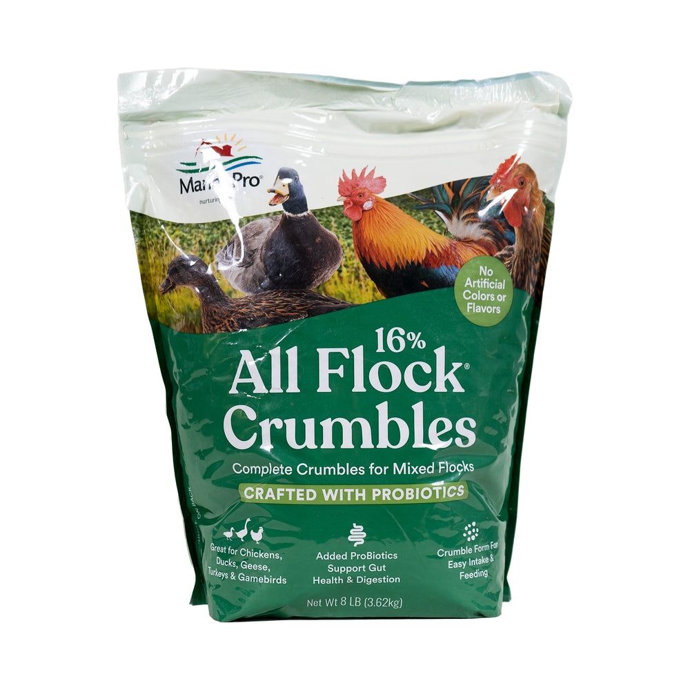 Manna Pro All Flock 16% with Probiotics - 8 lb