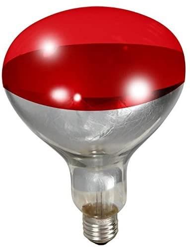 Little Giant Heat Lamp Bulb 250W