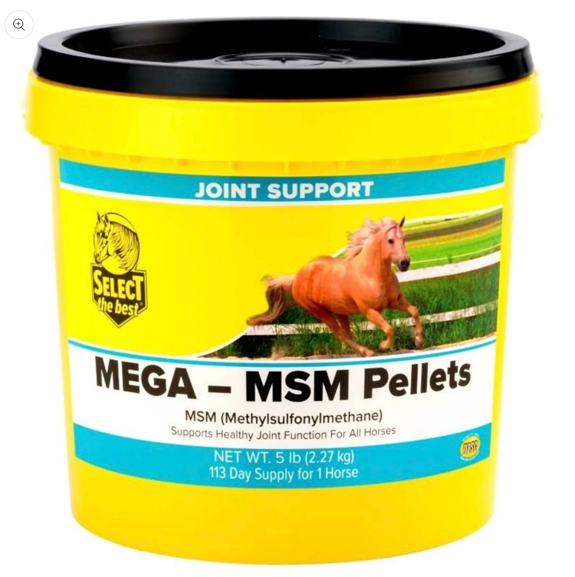 Select the Best Mega MSM Pellets 5 lb