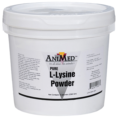 AniMed L Lysine Pure 5 lb Pail 90587