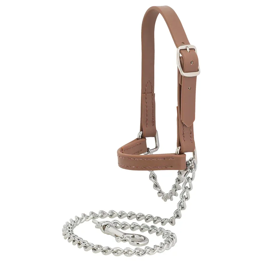 Weaver Livestock Brahma Webb Sheep and Goat Halter