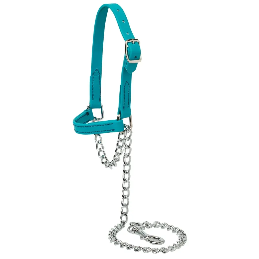 Weaver Livestock Brahma Webb Sheep and Goat Halter