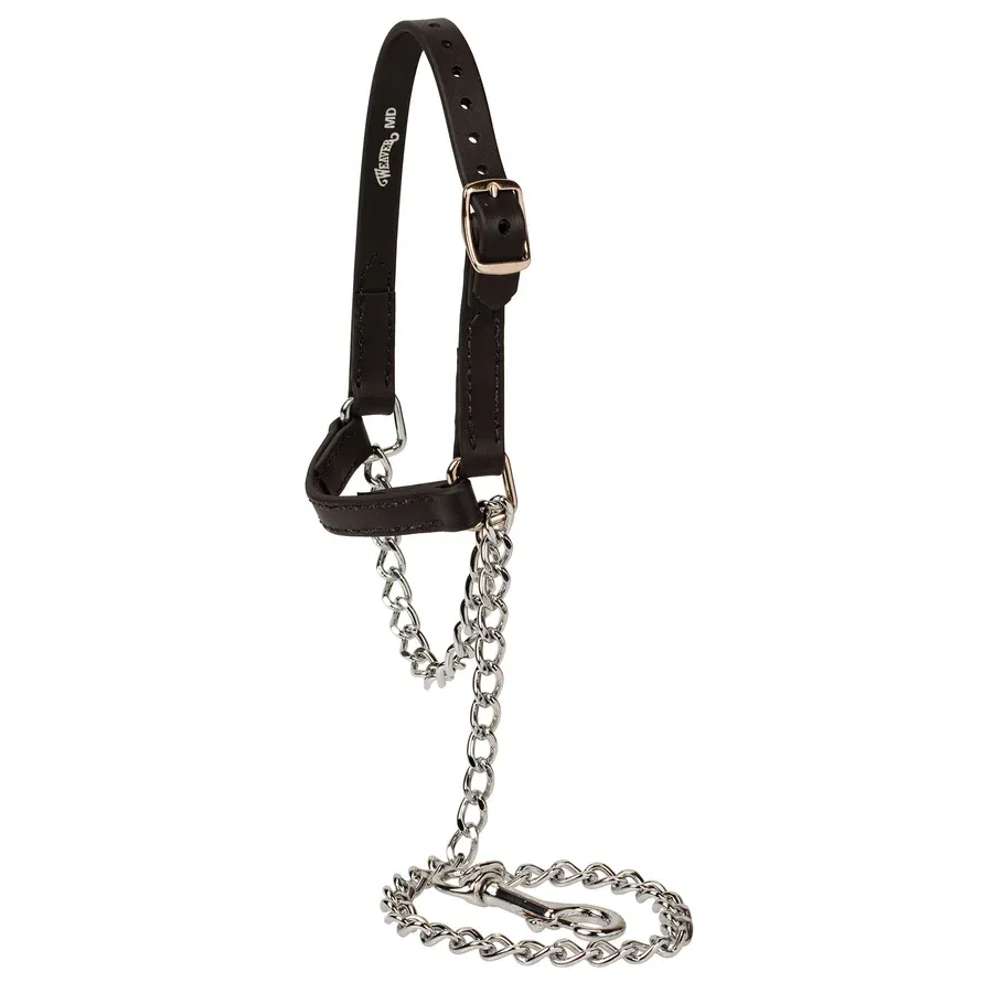 Weaver Livestock Brahma Webb Sheep and Goat Halter, Color: Black, Size: Small