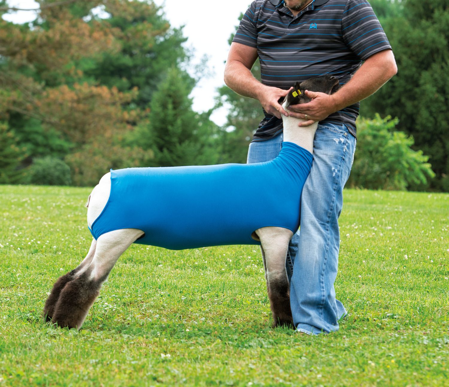 Weaver Livestock Cotton Lamb Tube, Blue