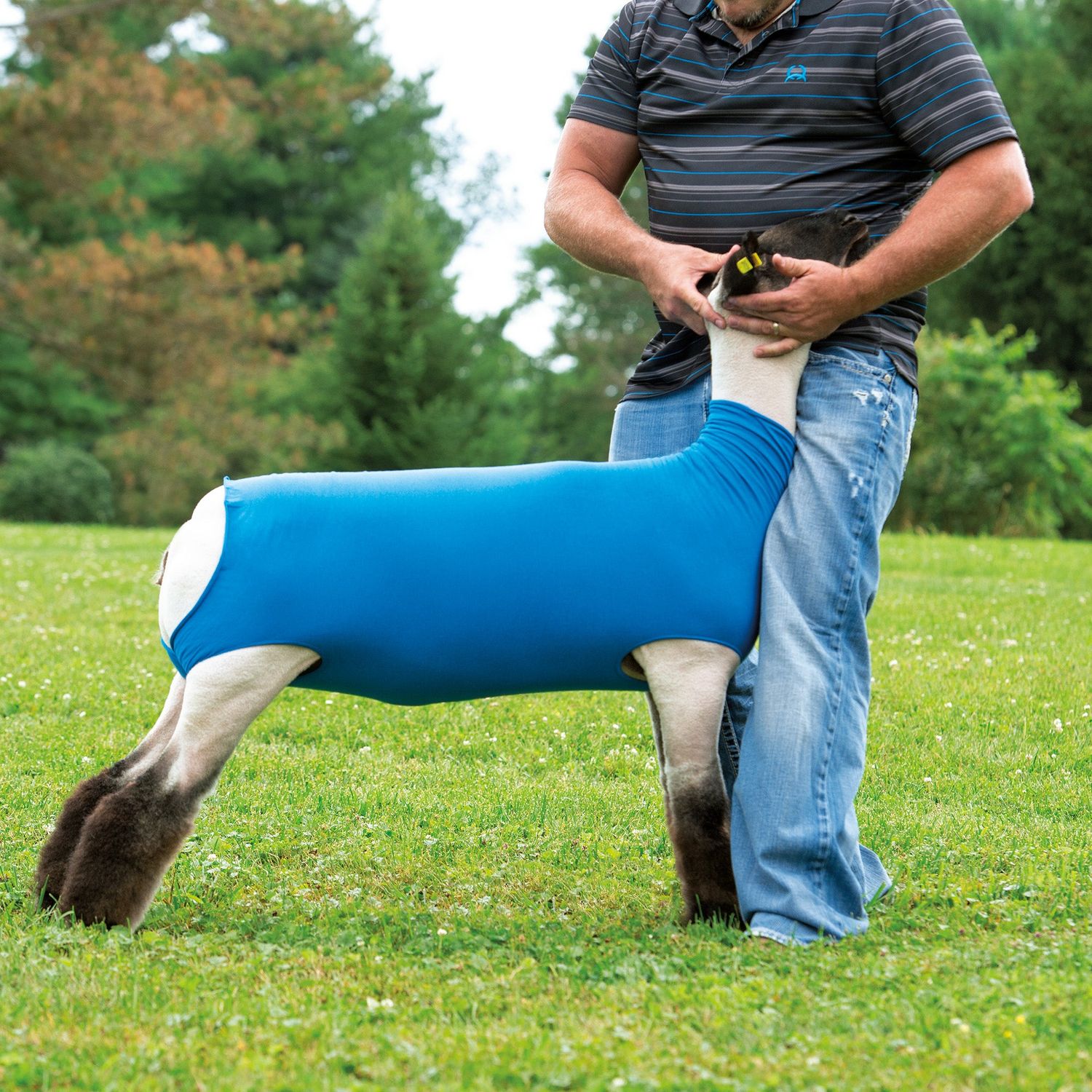Weaver Livestock Cotton Lamb Tube, Blue