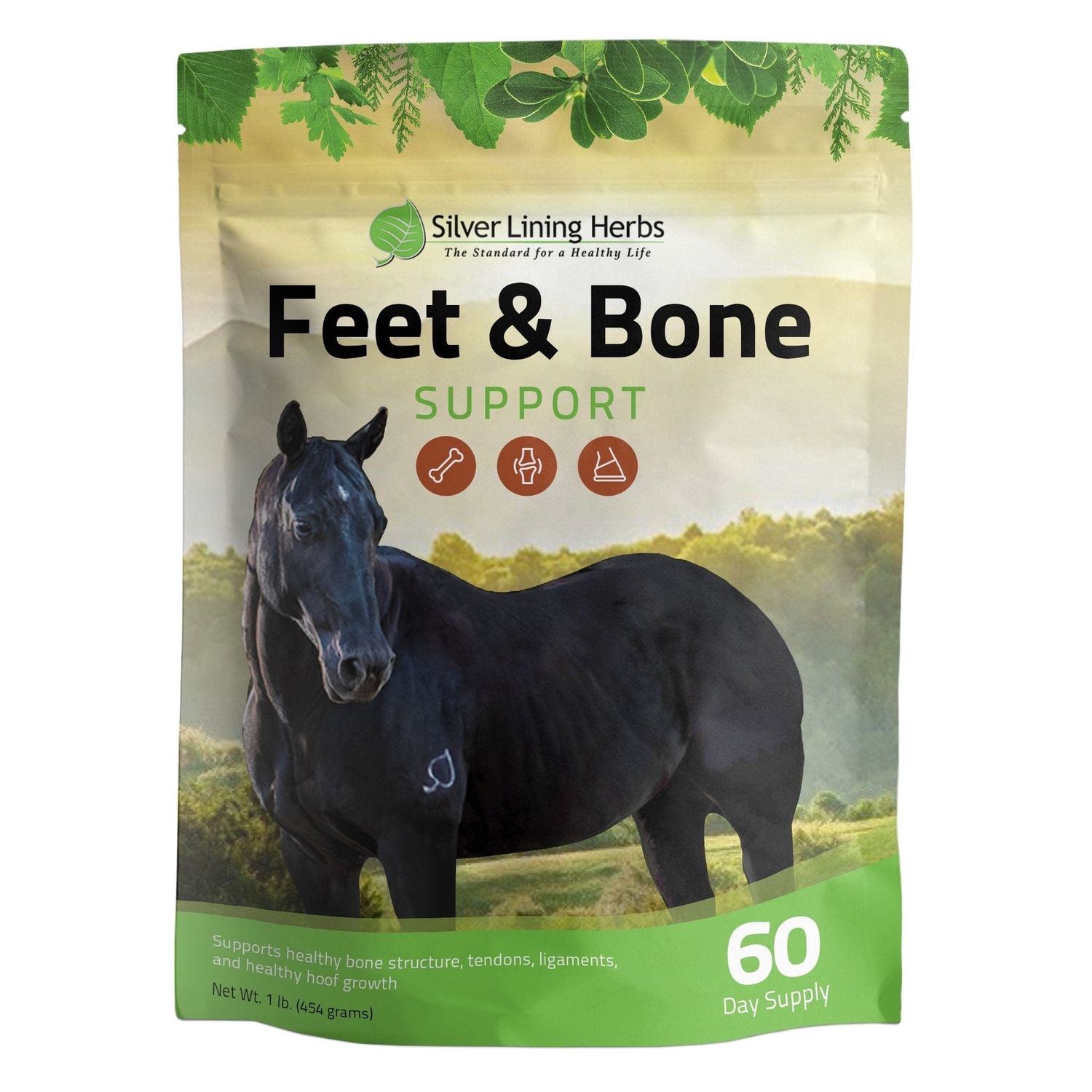 Silver Lining Herbs Feet &amp; Bone Support for Horses 1 lb