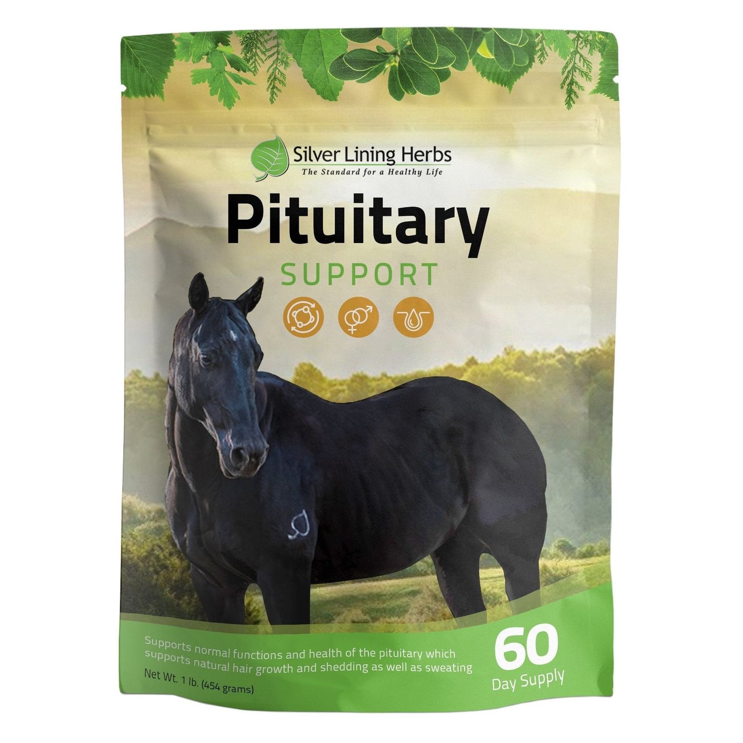 Silver Lining Herbs Pituitary Support for Horses