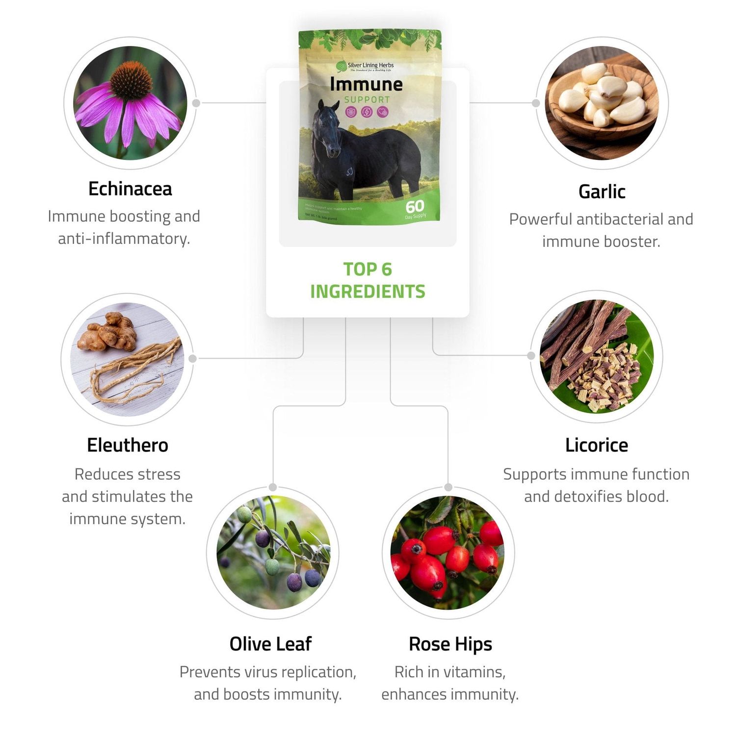 Silver Lining Herbs Immune Support for Horses 1 lb