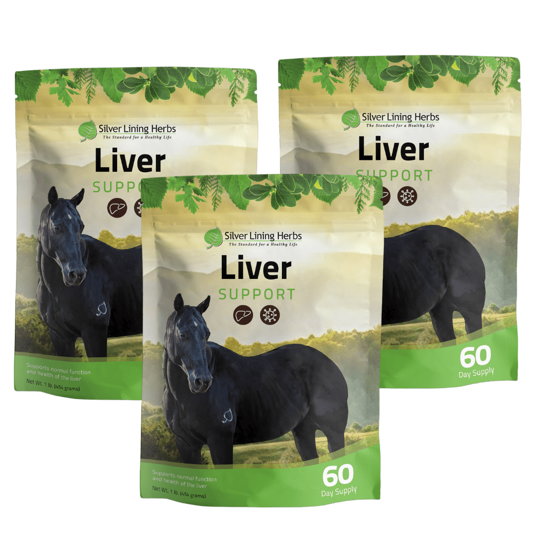 Silver Lining Herbs Liver Support for Horses