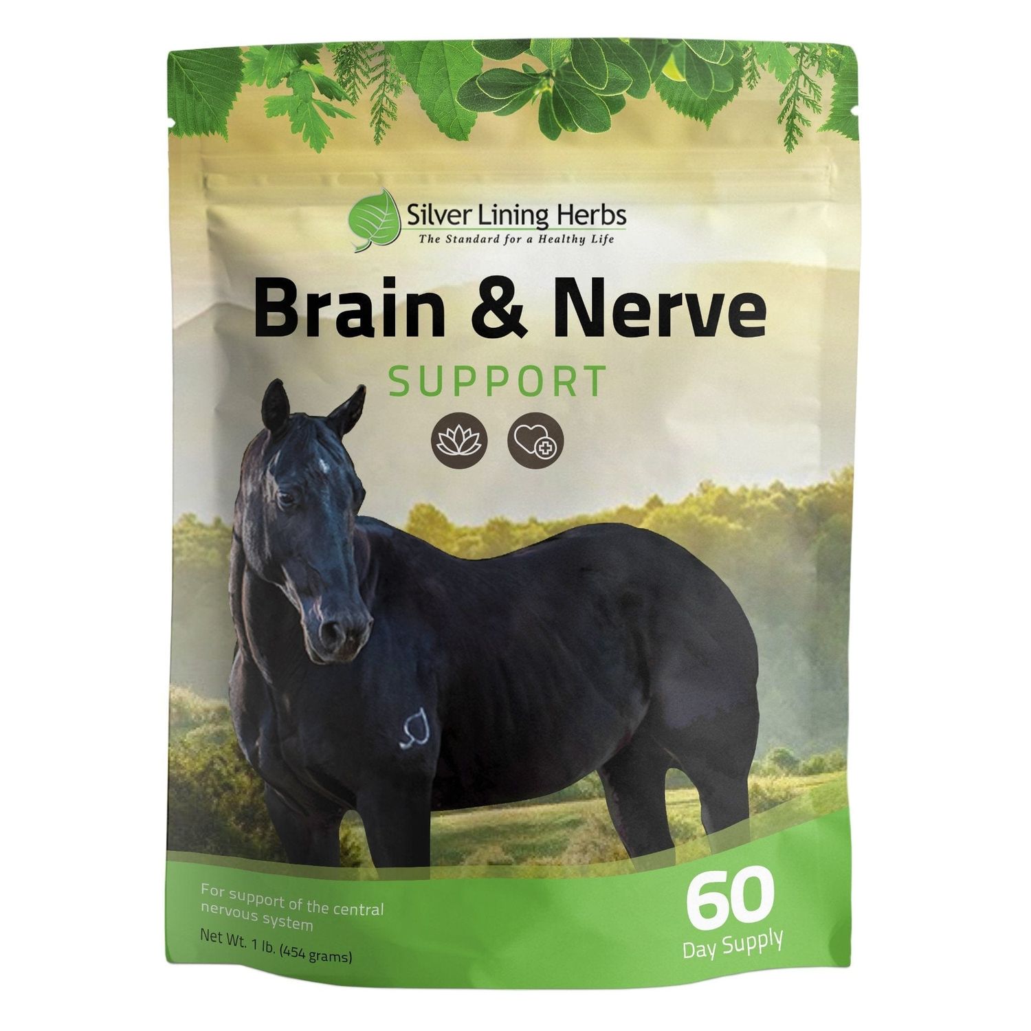 Silver Lining Herbs Brain &amp; Nerve Support for Horses