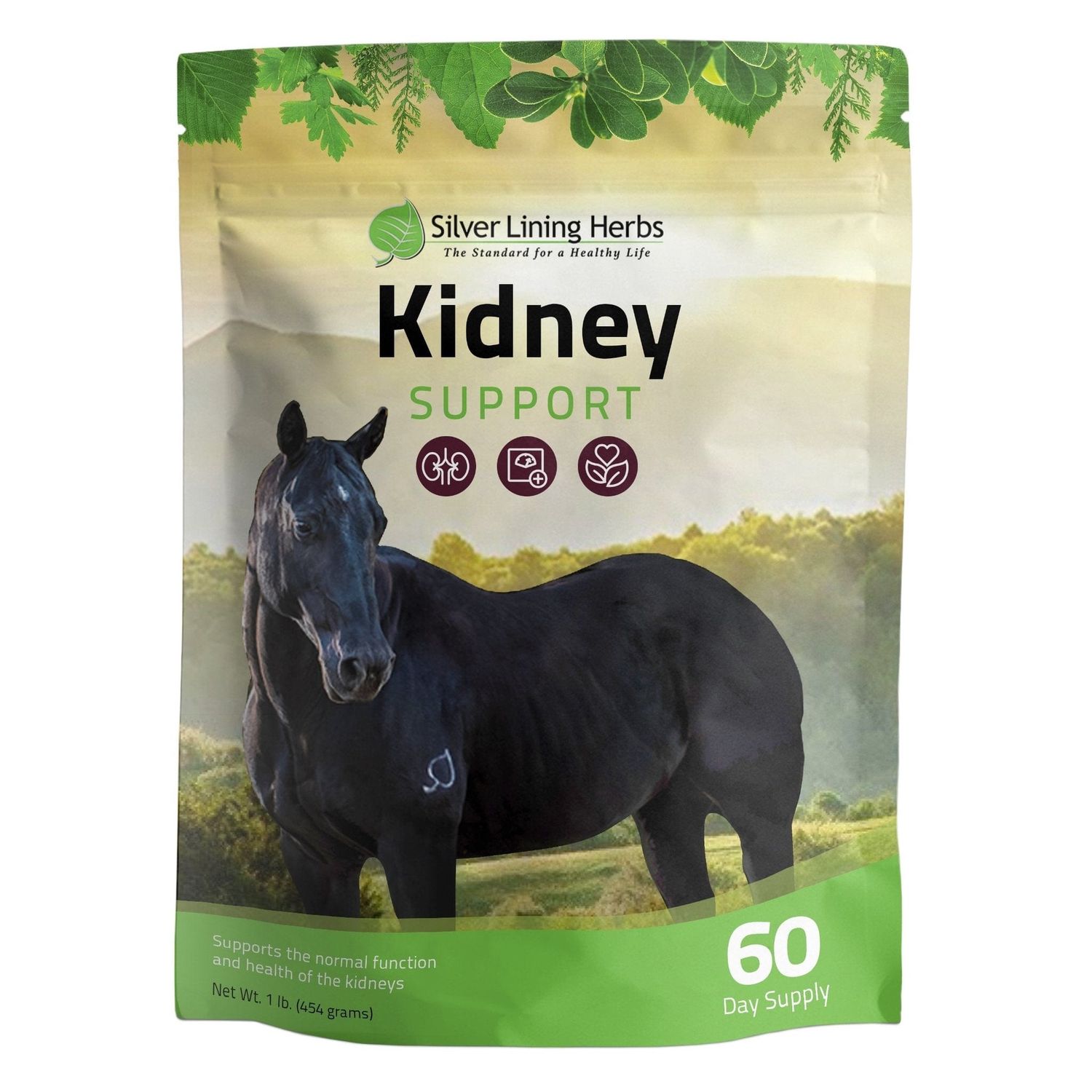 Silver Lining Herbs Kidney Support for Horses 1 lb