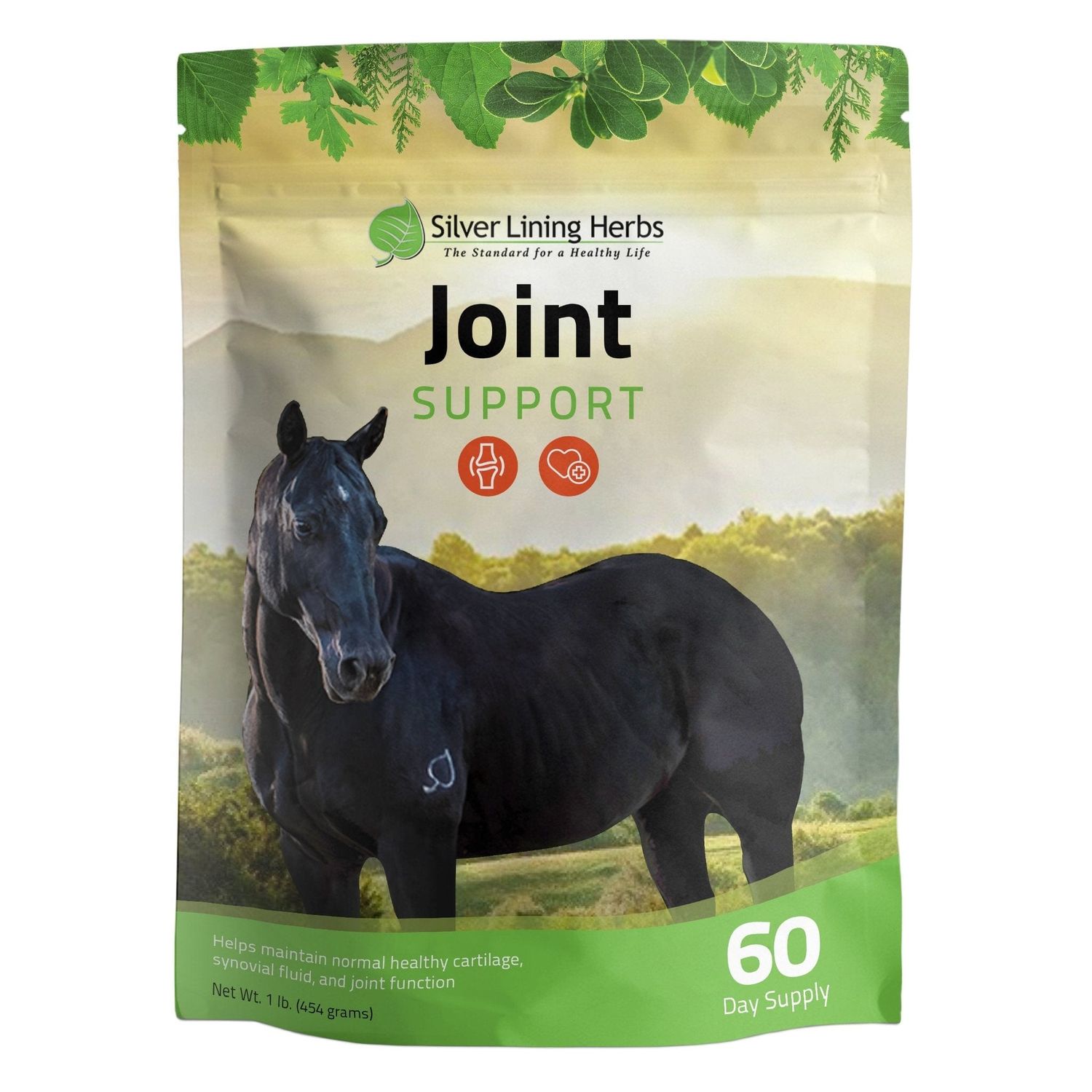 Silver Lining Herbs Joint Support for Horses 1 lb