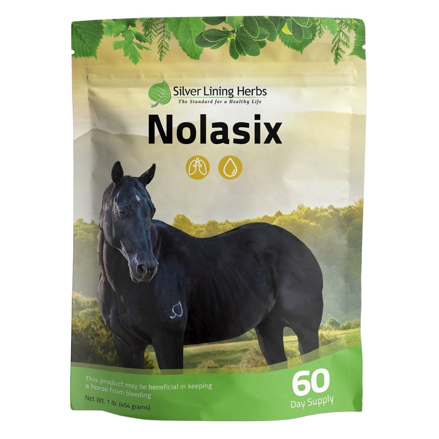 Silver Lining Herbs Nolasix for Horses