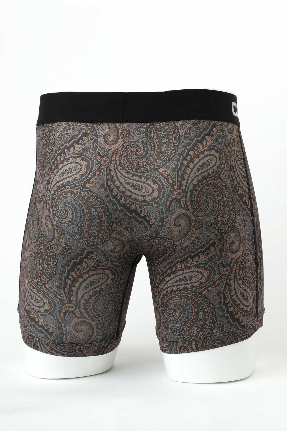 Cinch Men's Paisley Boxer Brief