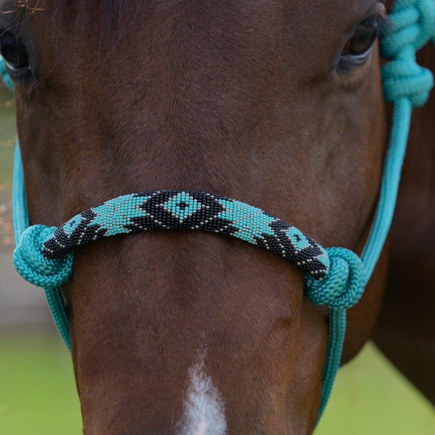 Professional’s Choice Beaded Rope Halter