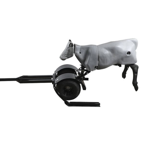Smarty Rodeo Trainer