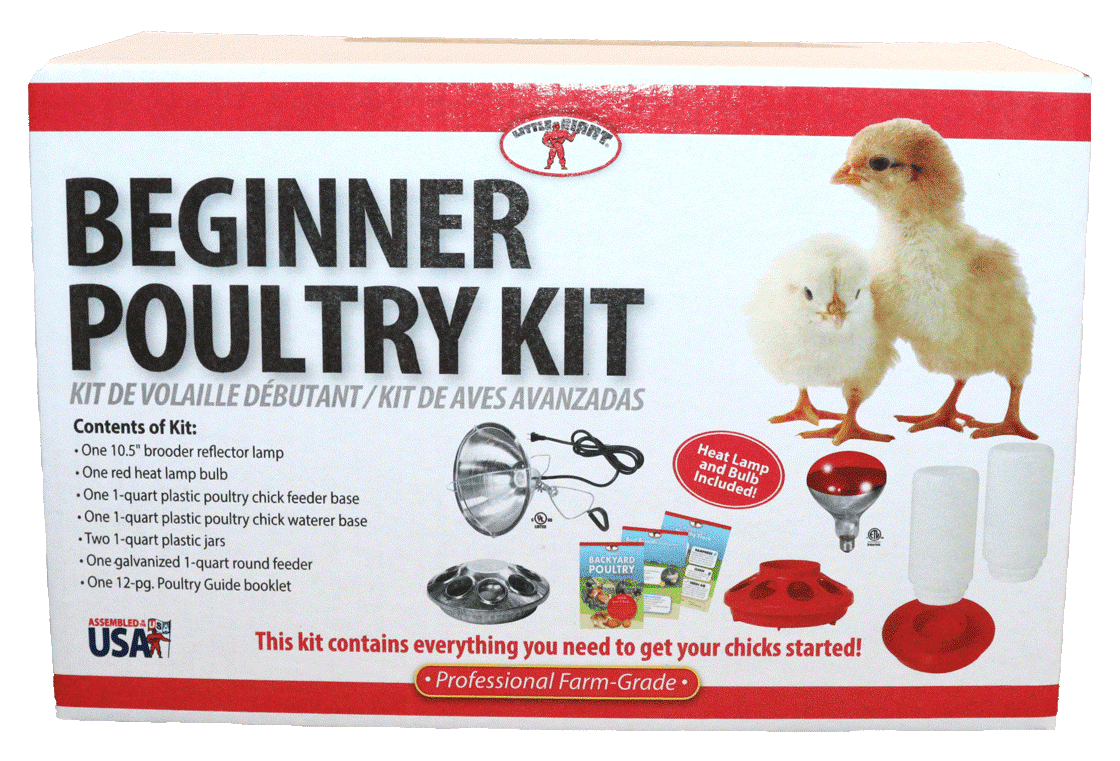 Little Giant Beginner Poultry Kit