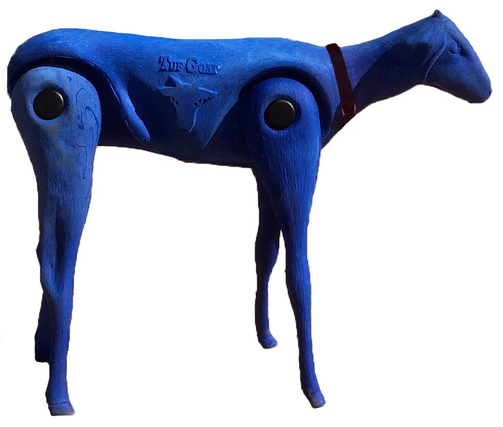 Tuf Kaf Tuf Goat