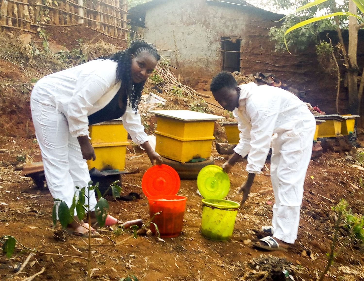 Ethiopia- Beekeeping and Beehive