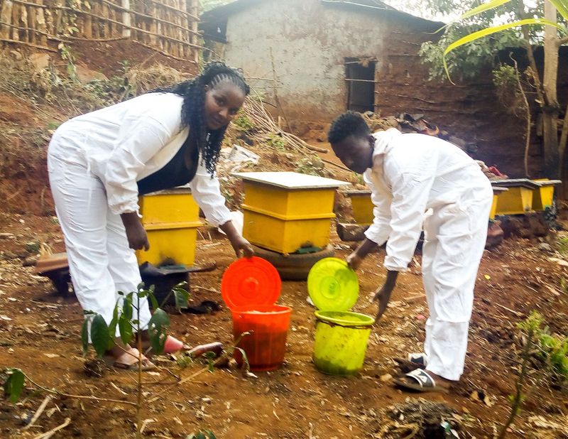 Ethiopia- Beekeeping and Beehive