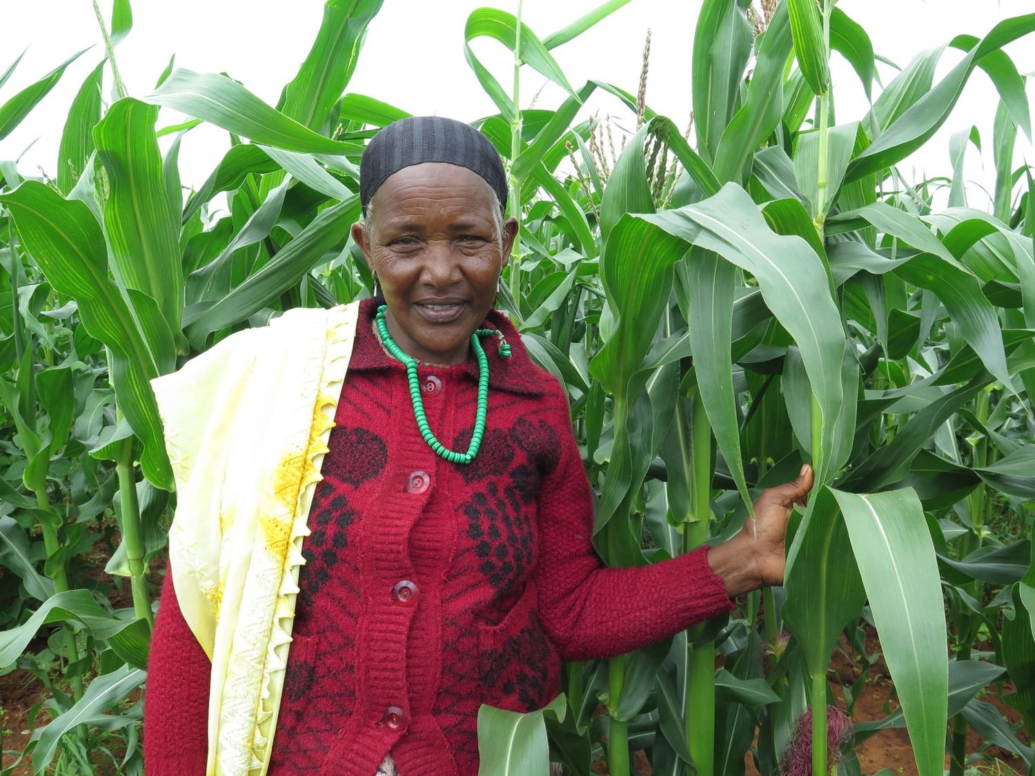 Ethiopia- Training in Sustainable Agriculture