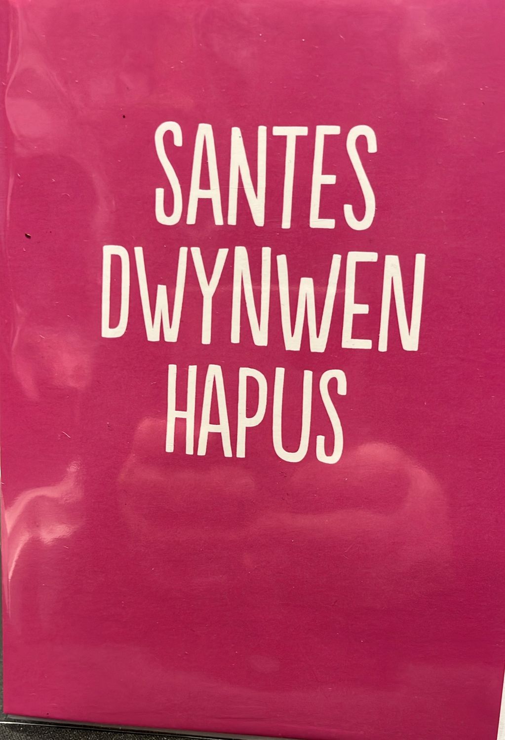 Santes Dwynwen Hapus