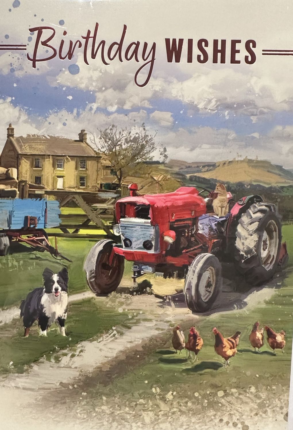 Open Birthday Farm 3